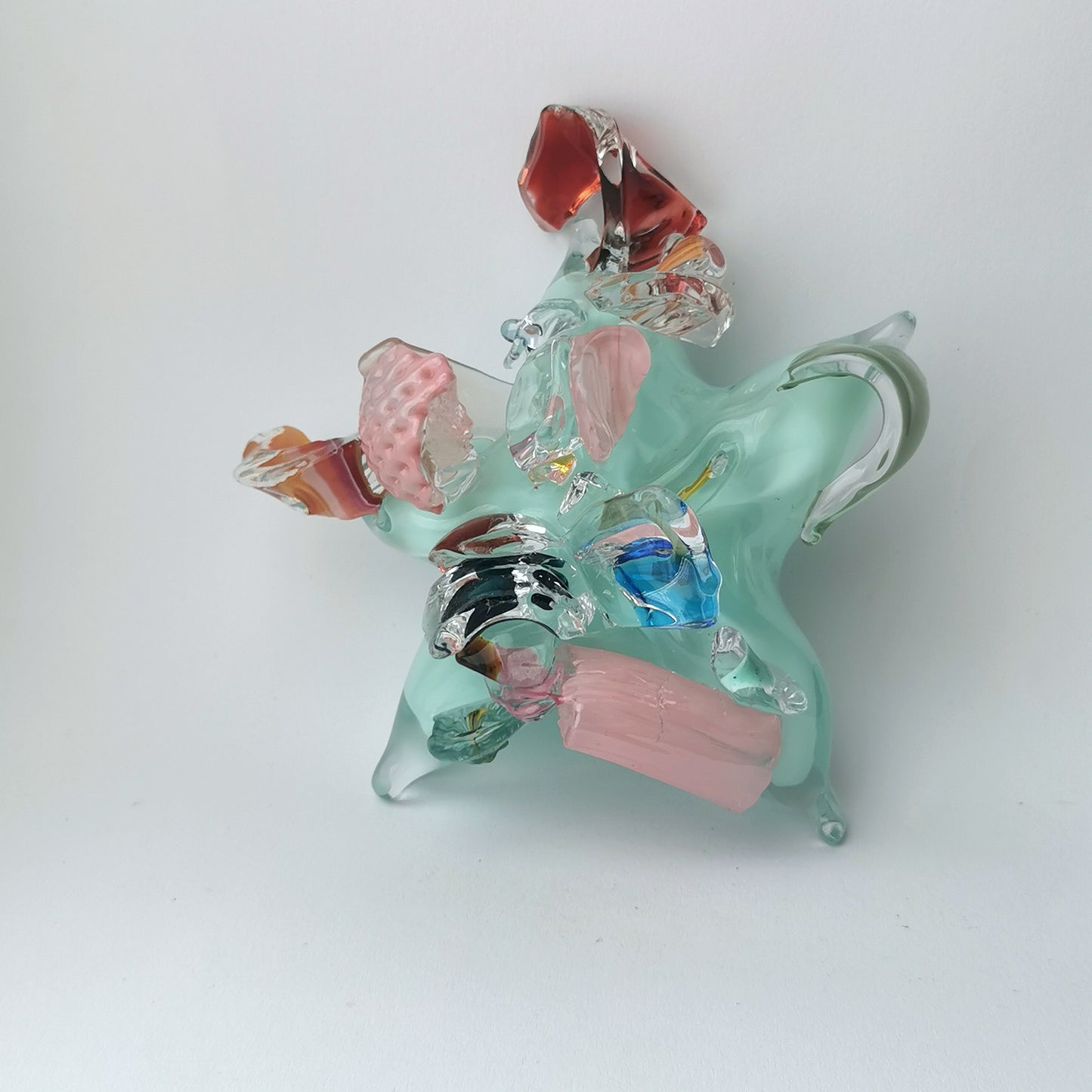 Starfish, "Celadon", 2025