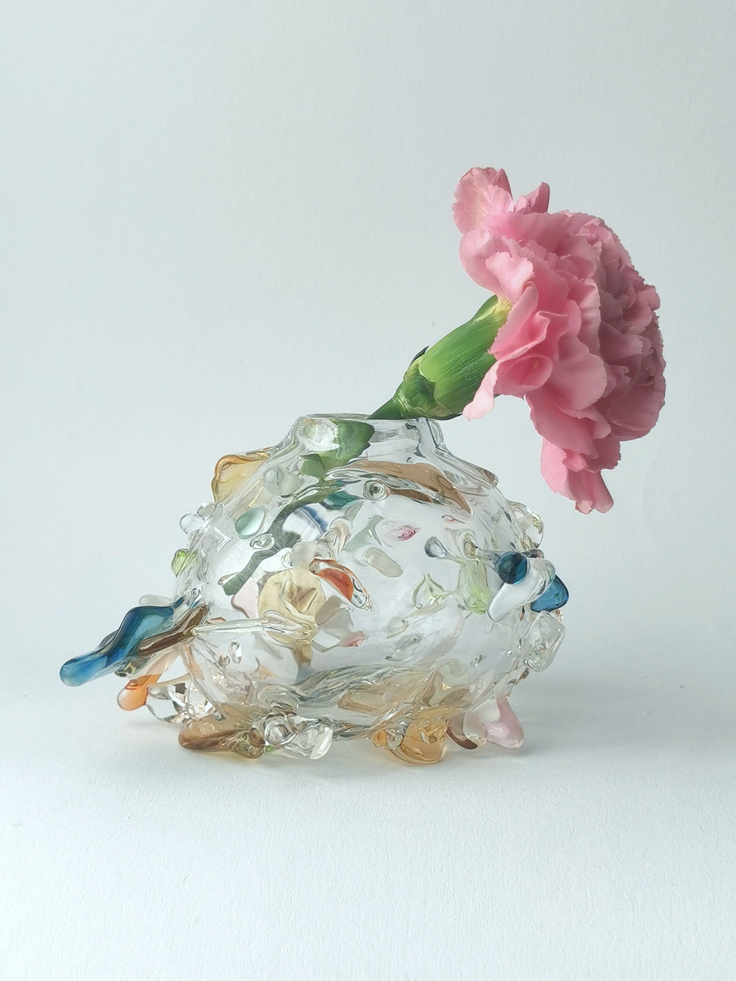 Stagevase, Douche 2024