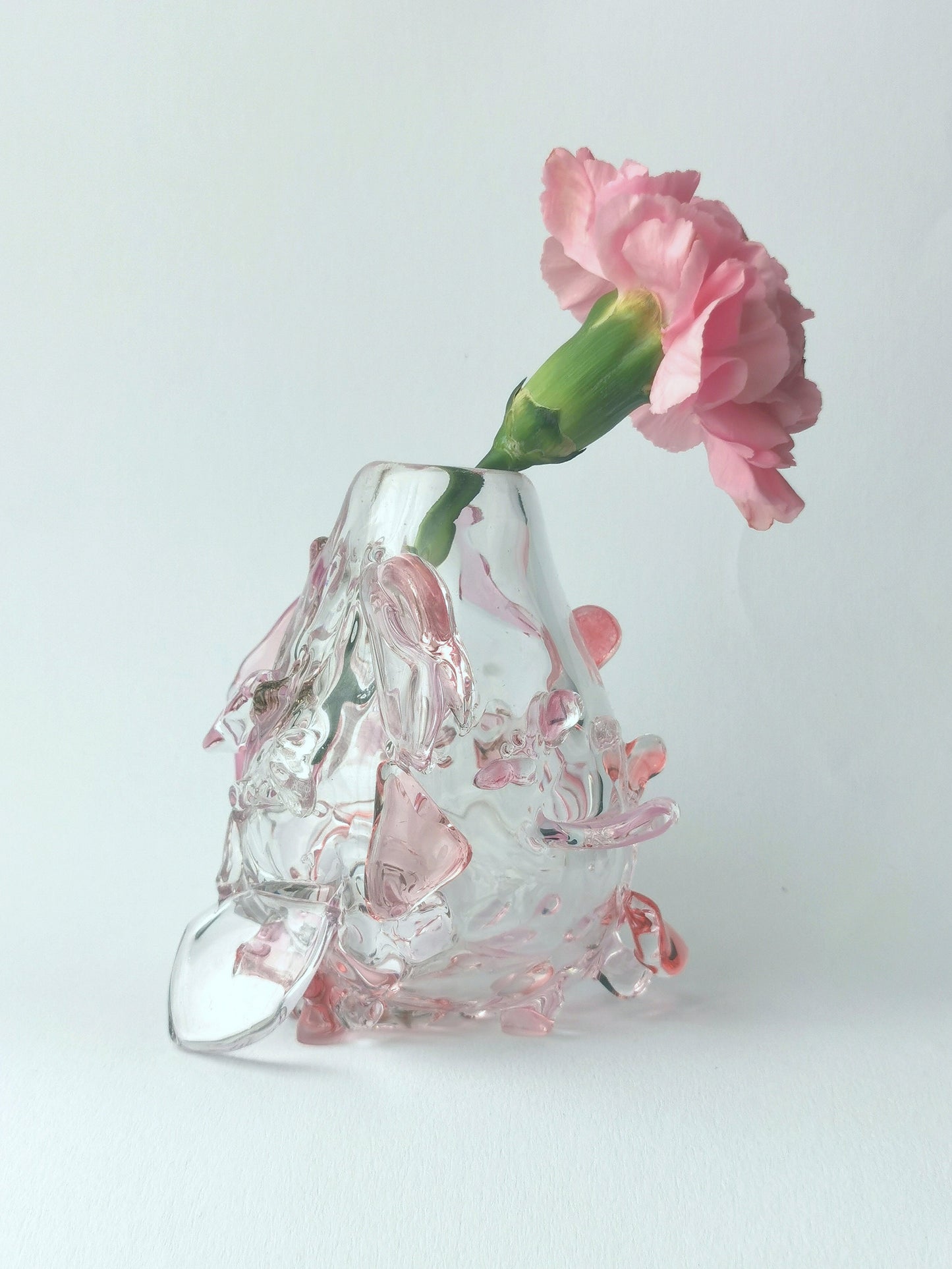 Stagevase, Rosa 2023